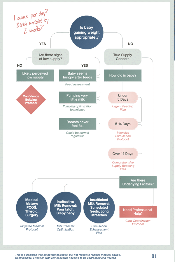 Lactation Protocol- Low Milk Supply - Image 2